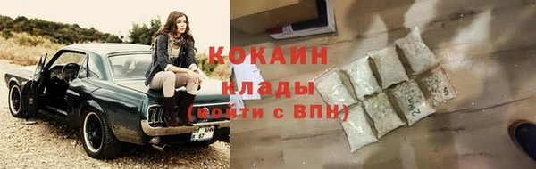 ПСИЛОЦИБИНОВЫЕ ГРИБЫ Белокуриха