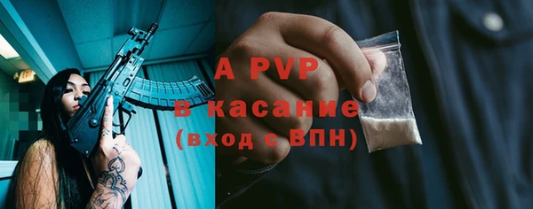 стаф Беломорск