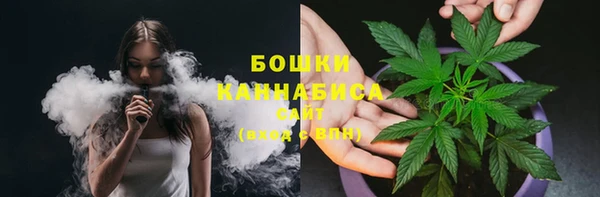 ПСИЛОЦИБИНОВЫЕ ГРИБЫ Белокуриха