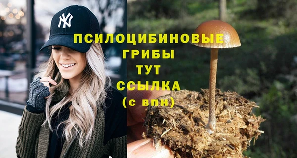 ПСИЛОЦИБИНОВЫЕ ГРИБЫ Белокуриха