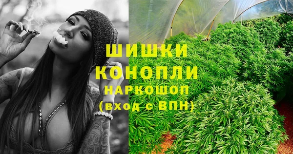 стаф Беломорск