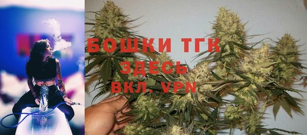 ПСИЛОЦИБИНОВЫЕ ГРИБЫ Белокуриха
