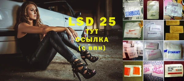 ПСИЛОЦИБИНОВЫЕ ГРИБЫ Белокуриха